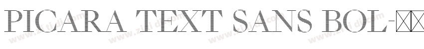 Picara Text Sans Bol字体转换 Picara Text Sans Bol字体转换